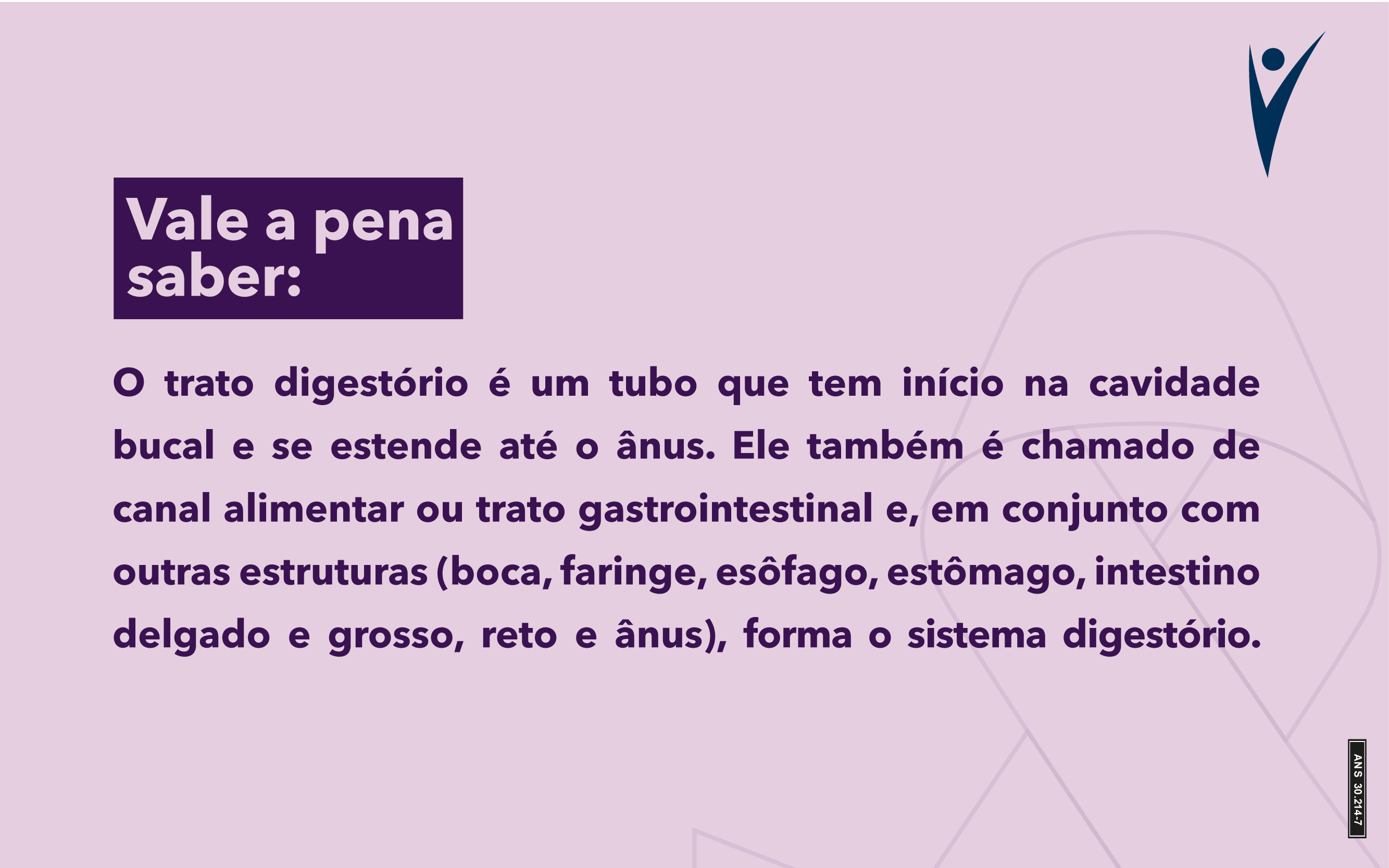 Explicação sobre o que é o trato digestório