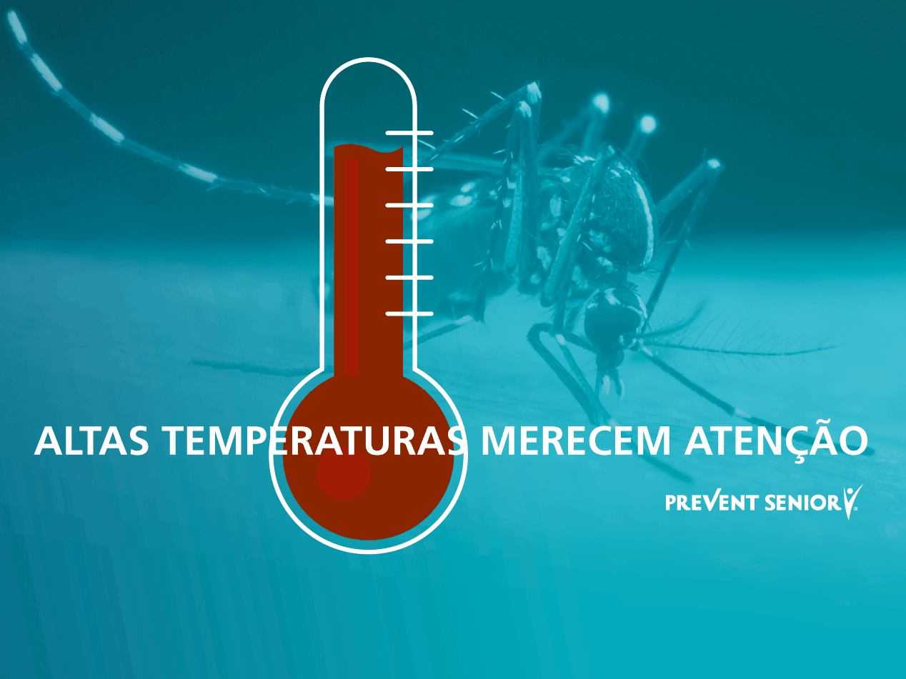 Dias de calor requerem cuidados redobrados contra picadas de mosquito e possíveis reações alérgicas