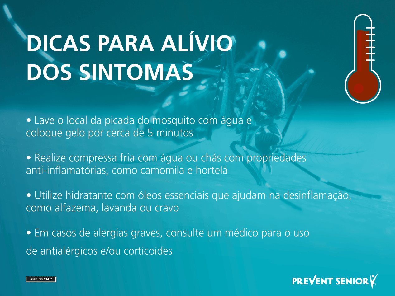 Dicas para alívio dos sintomas após a picada de um mosquito